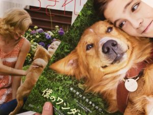 僕のワンダフルライフ