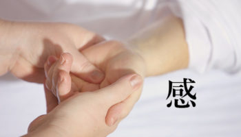 HSP 体感
